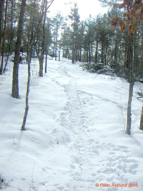 PICT0014.jpg