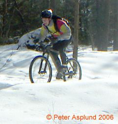 PICT0016.jpg