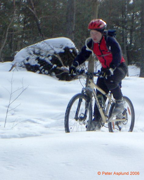 PICT0020.jpg