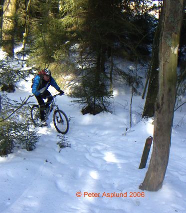 PICT0026.jpg