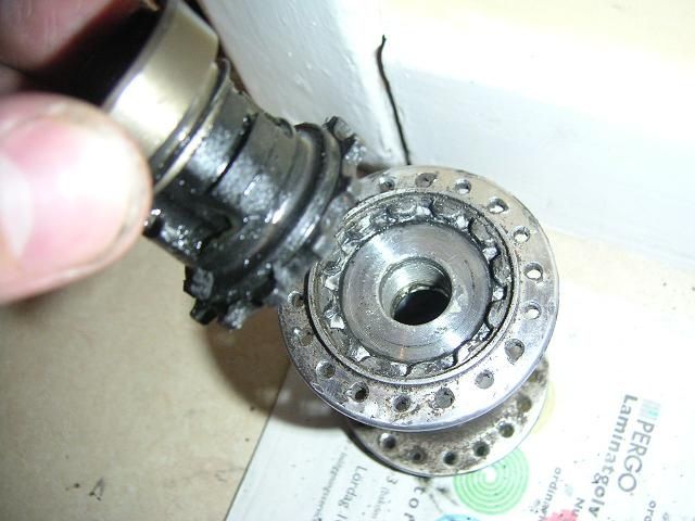 PICT0031.JPG ht=480