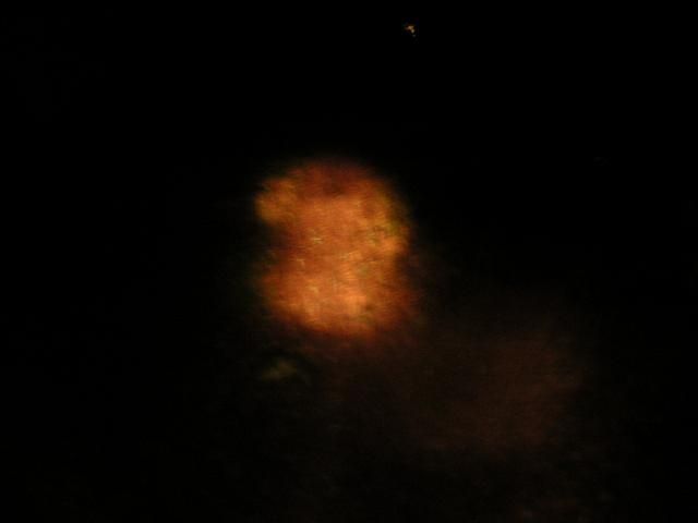 PICT0059.JPG ht=480