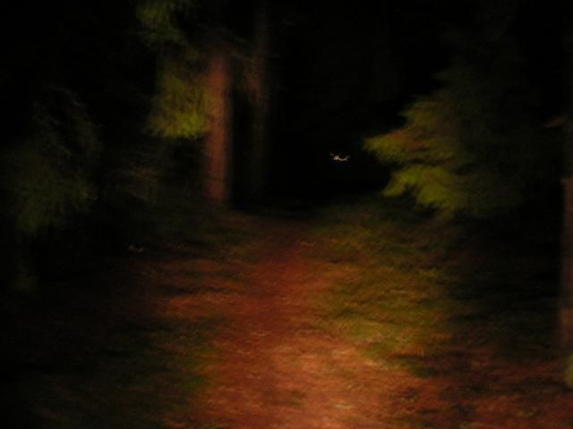 PICT0060.JPG ht=480