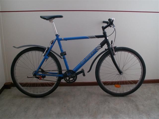 PICT0158Small.JPG ht=480