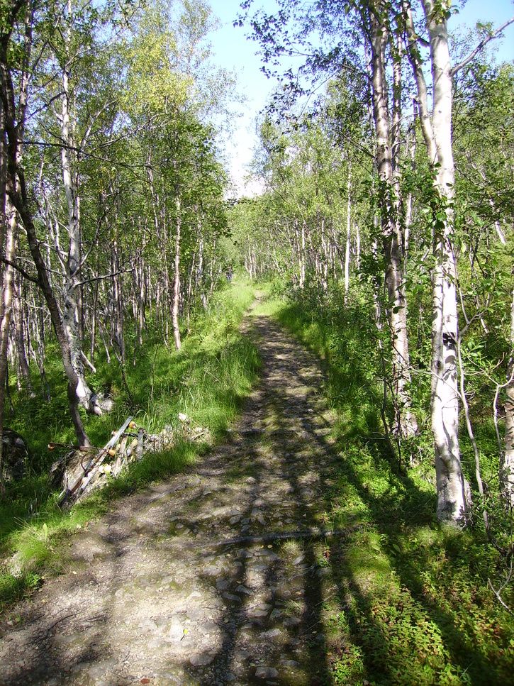 PICT2619.JPG
