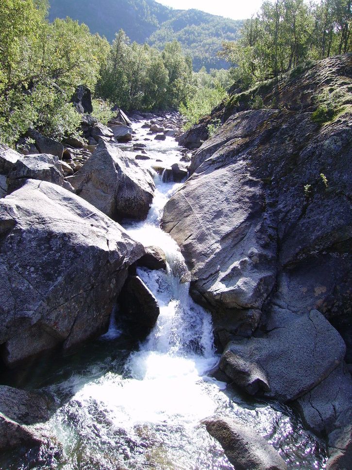 PICT2627.JPG