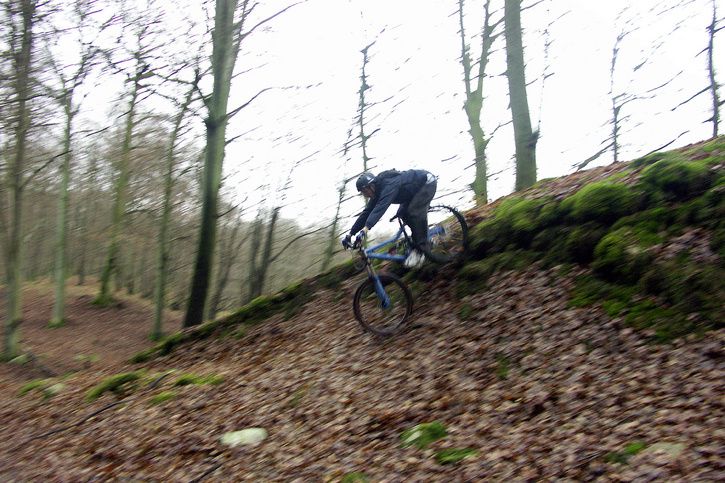 PICT7820sharp.jpg ht=483