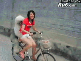 pimp-dog.gif
