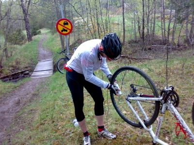pitstop.jpg ht=300