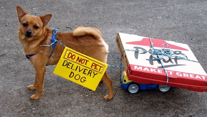 pizza-delivery.jpg