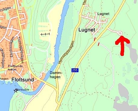 plantskolan.jpg ht=369