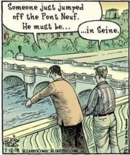 pont neuf.webp
