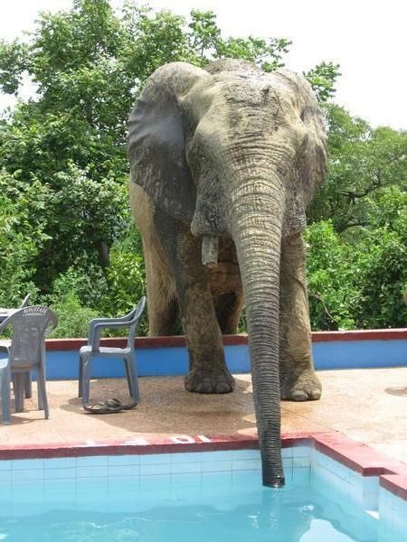 pool.jpg ht=600