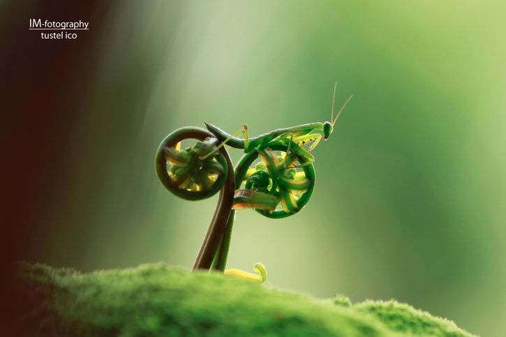 prayingbike.jpg