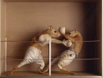 prize-fight.jpg ht=303