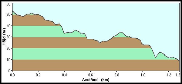 profilSS1.jpg ht=278