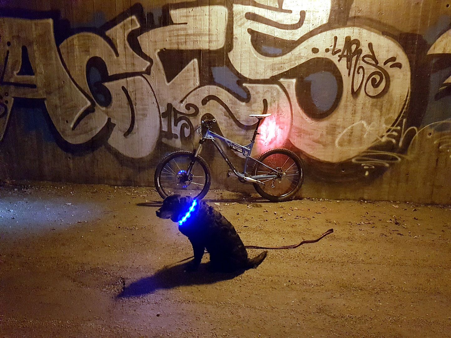 promenix.jpg