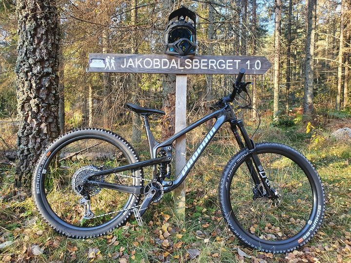 Propain tyee 29cf.jpg