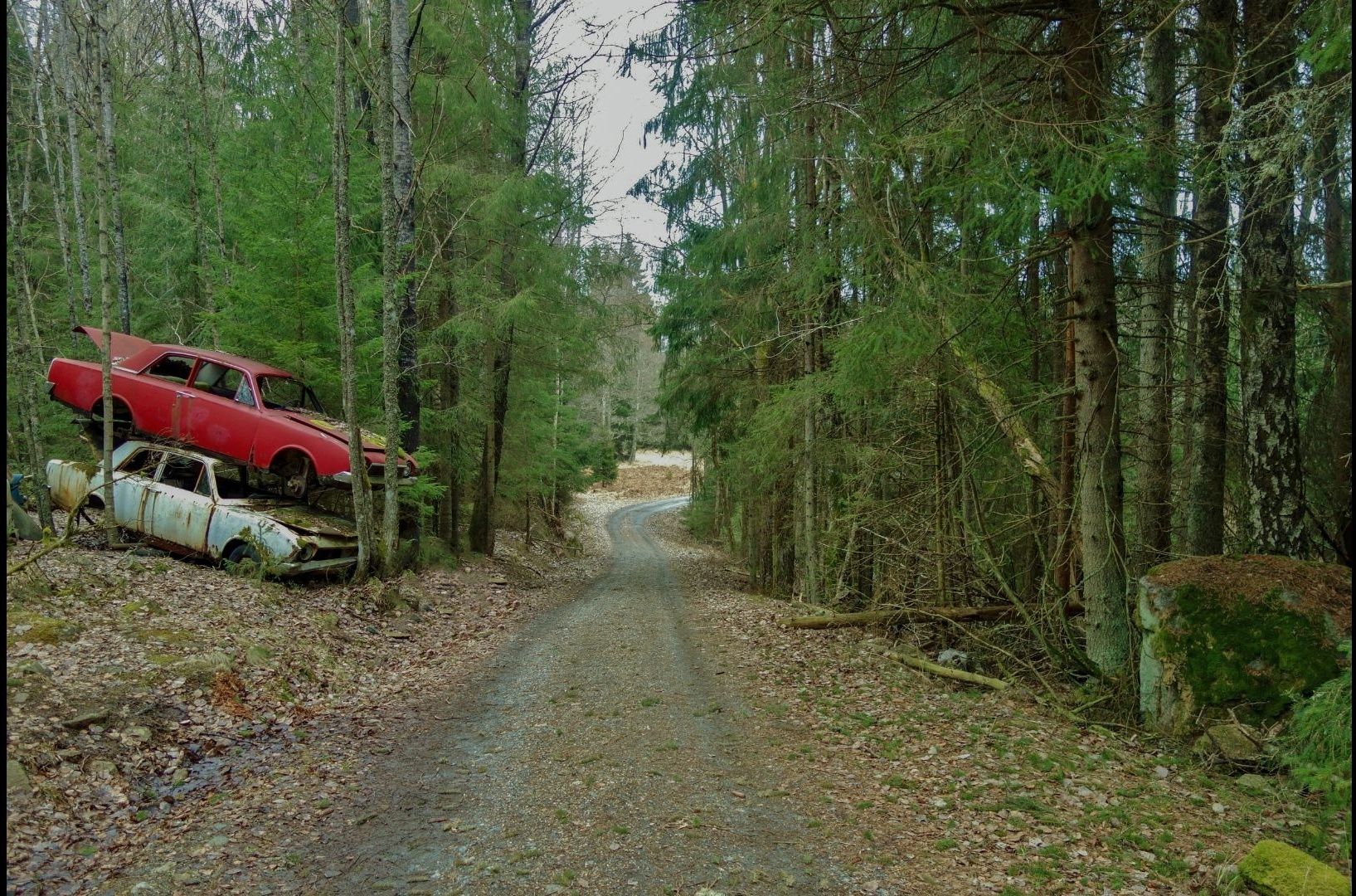 PSFix_20200303_170127.jpg