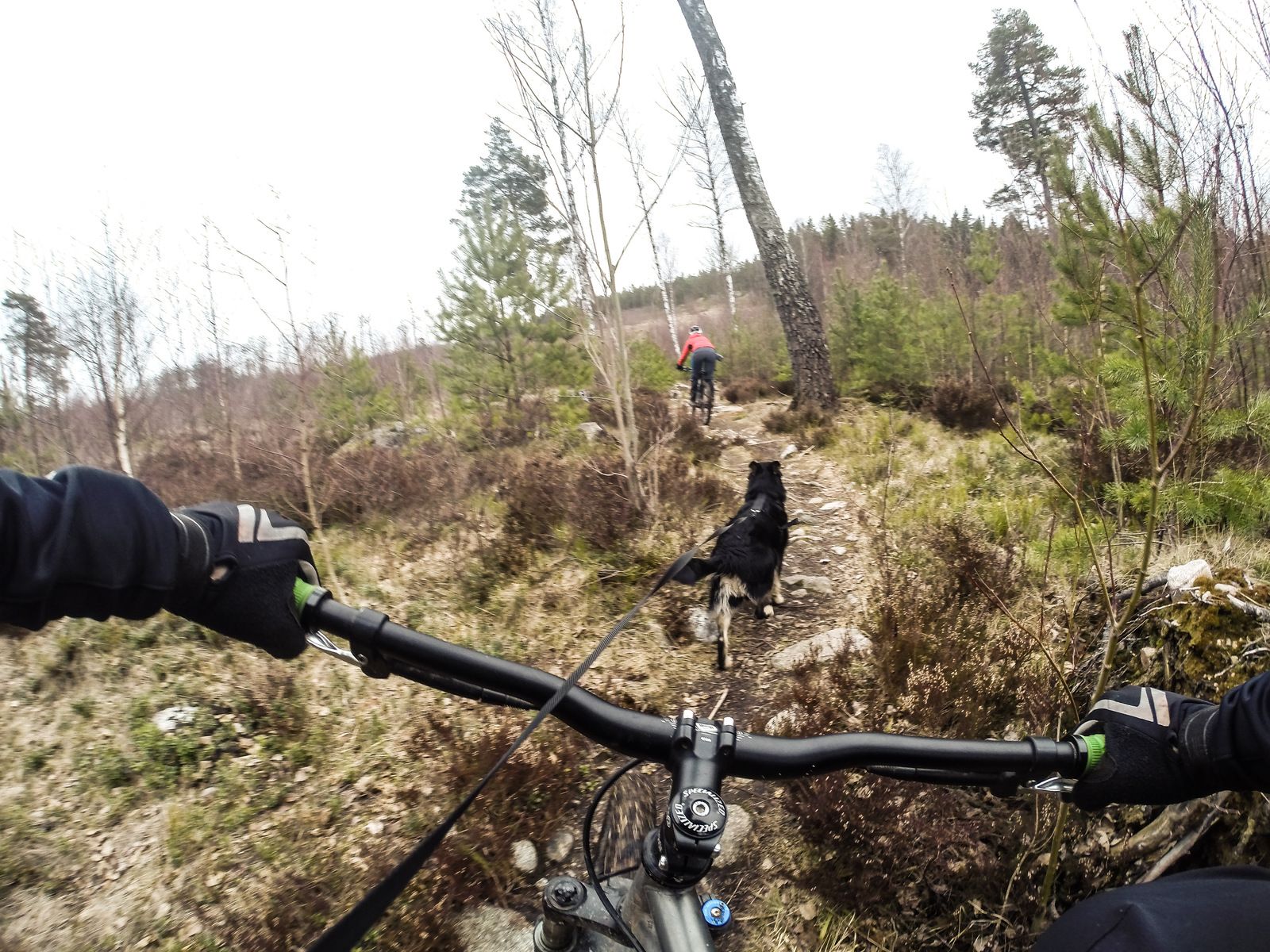 PSX_20160319_151440.jpg