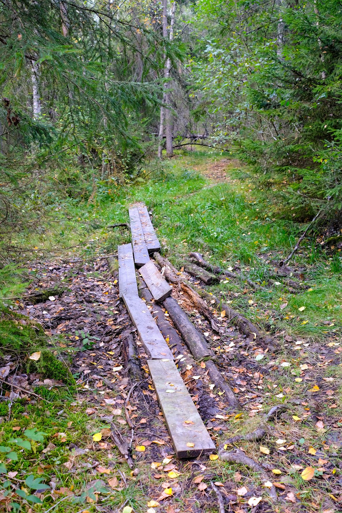 PSX_20200913_171650.jpg
