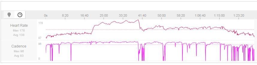 Puls.JPG