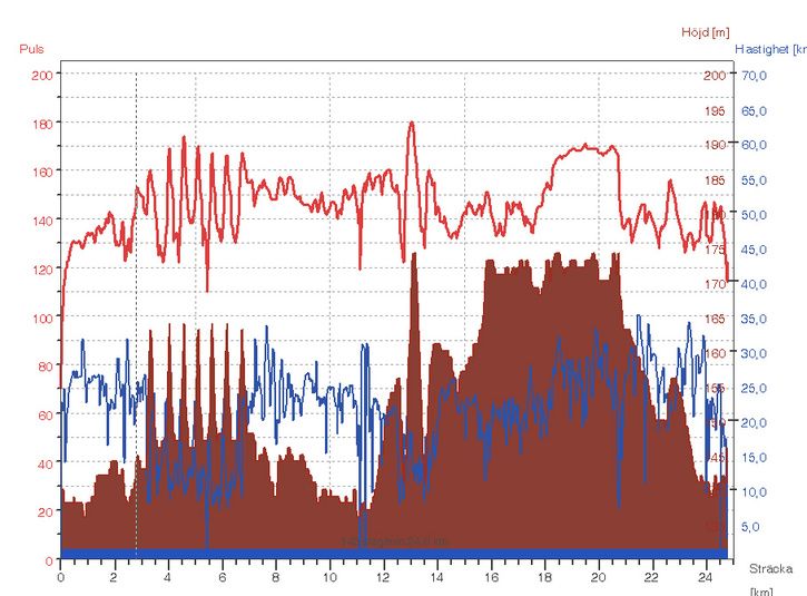 puls.jpg ht=535