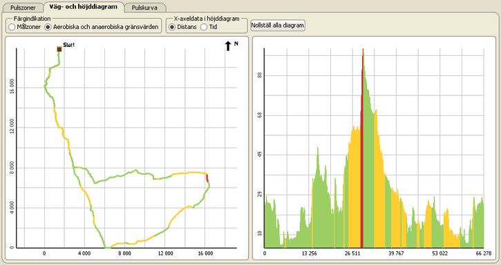 puls110831.jpg