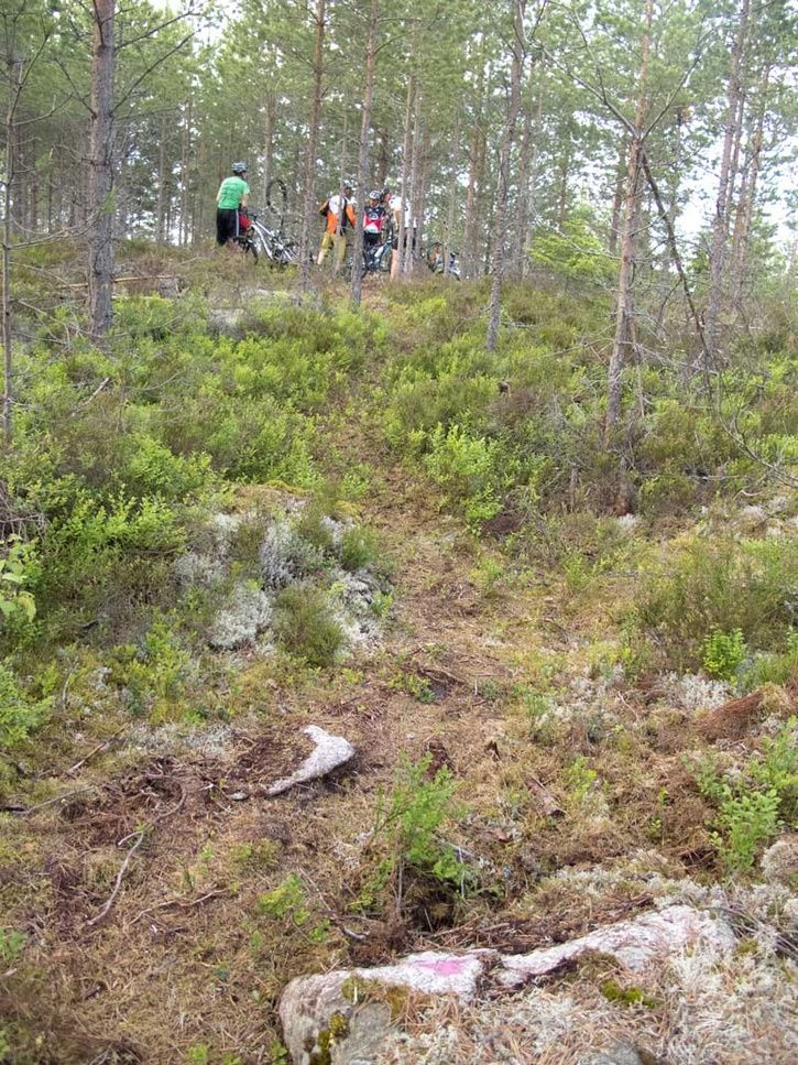 Punkastopp.jpg