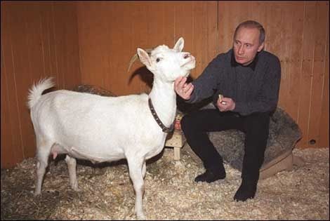 putinmedget.jpg