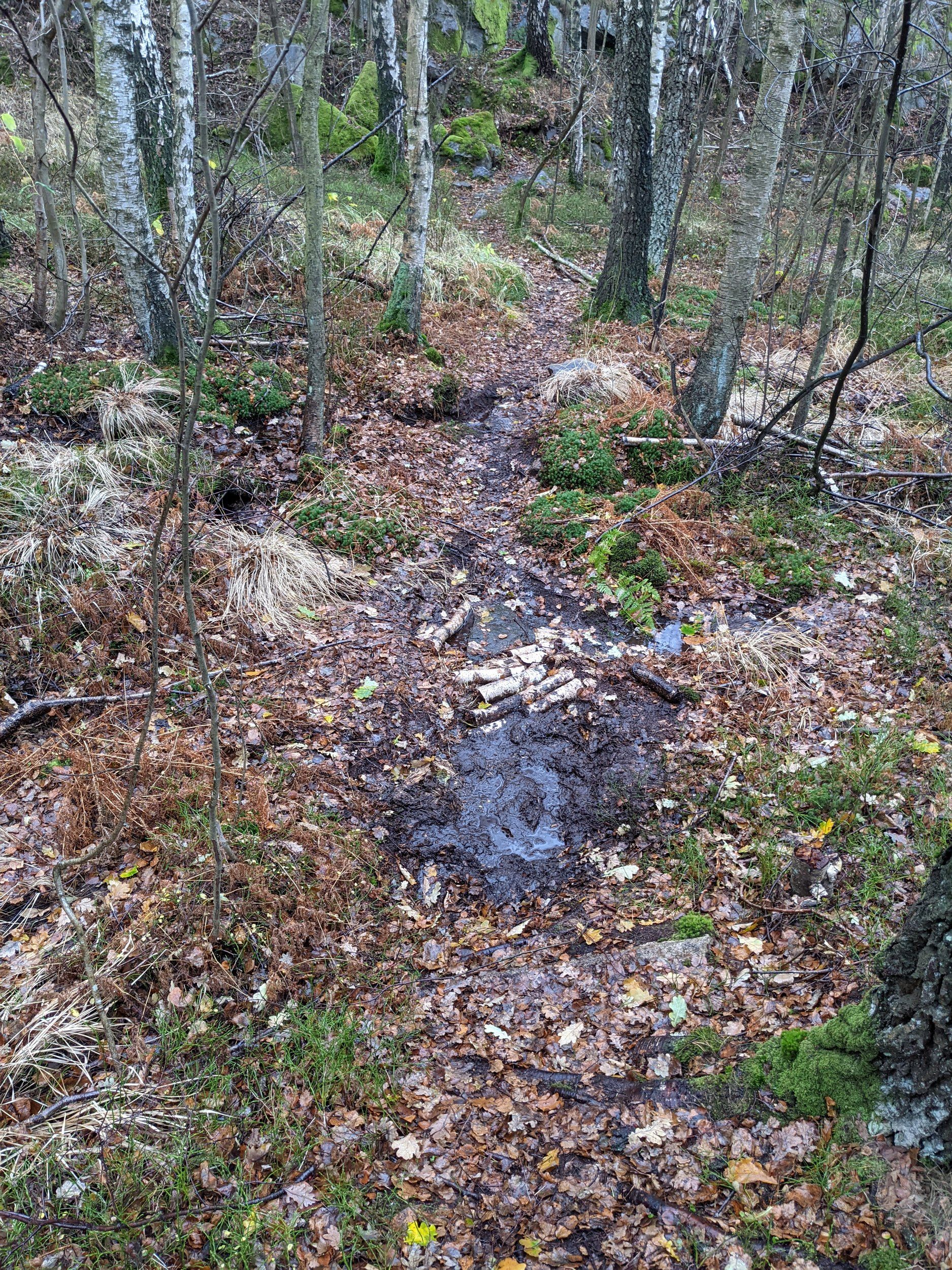 PXL_20211120_090251479.jpg