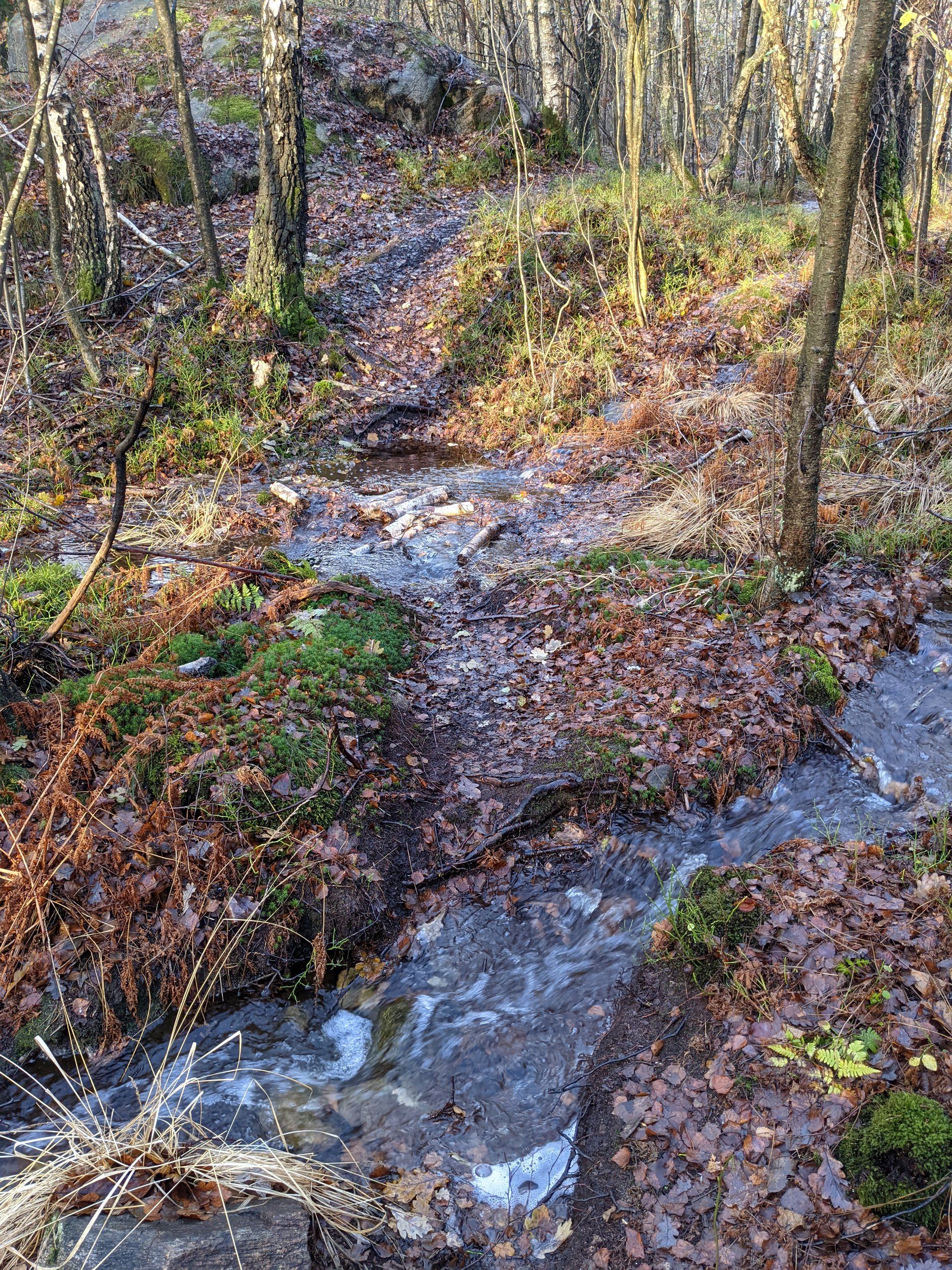 PXL_20211121_095324847.MP.jpg