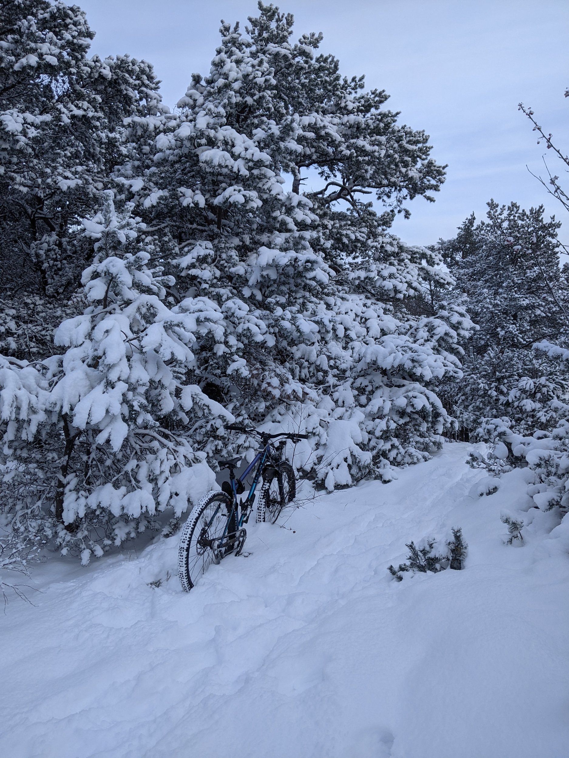 PXL_20211203_111833232.MP.jpg
