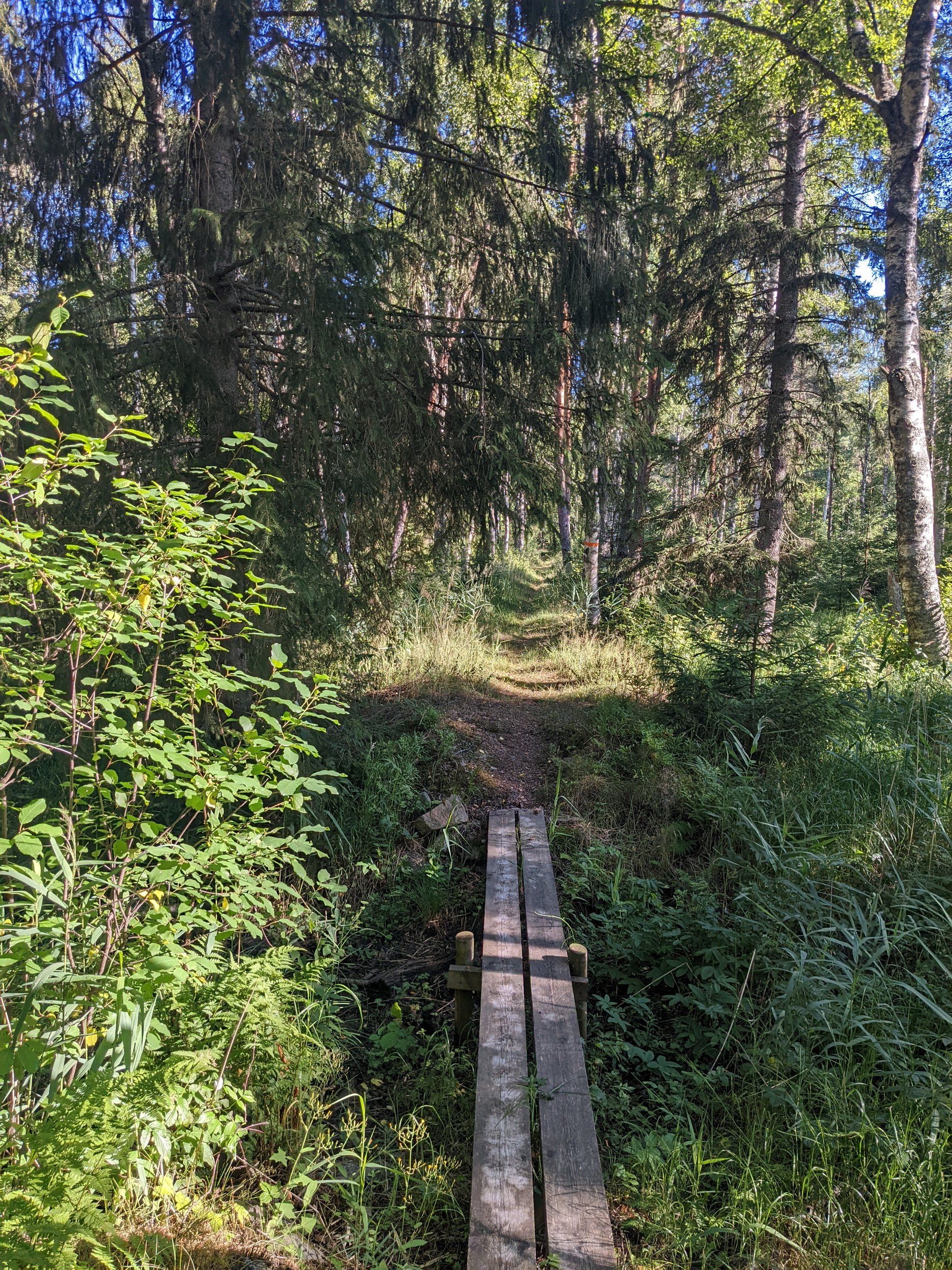 PXL_20220728_151645862.jpg