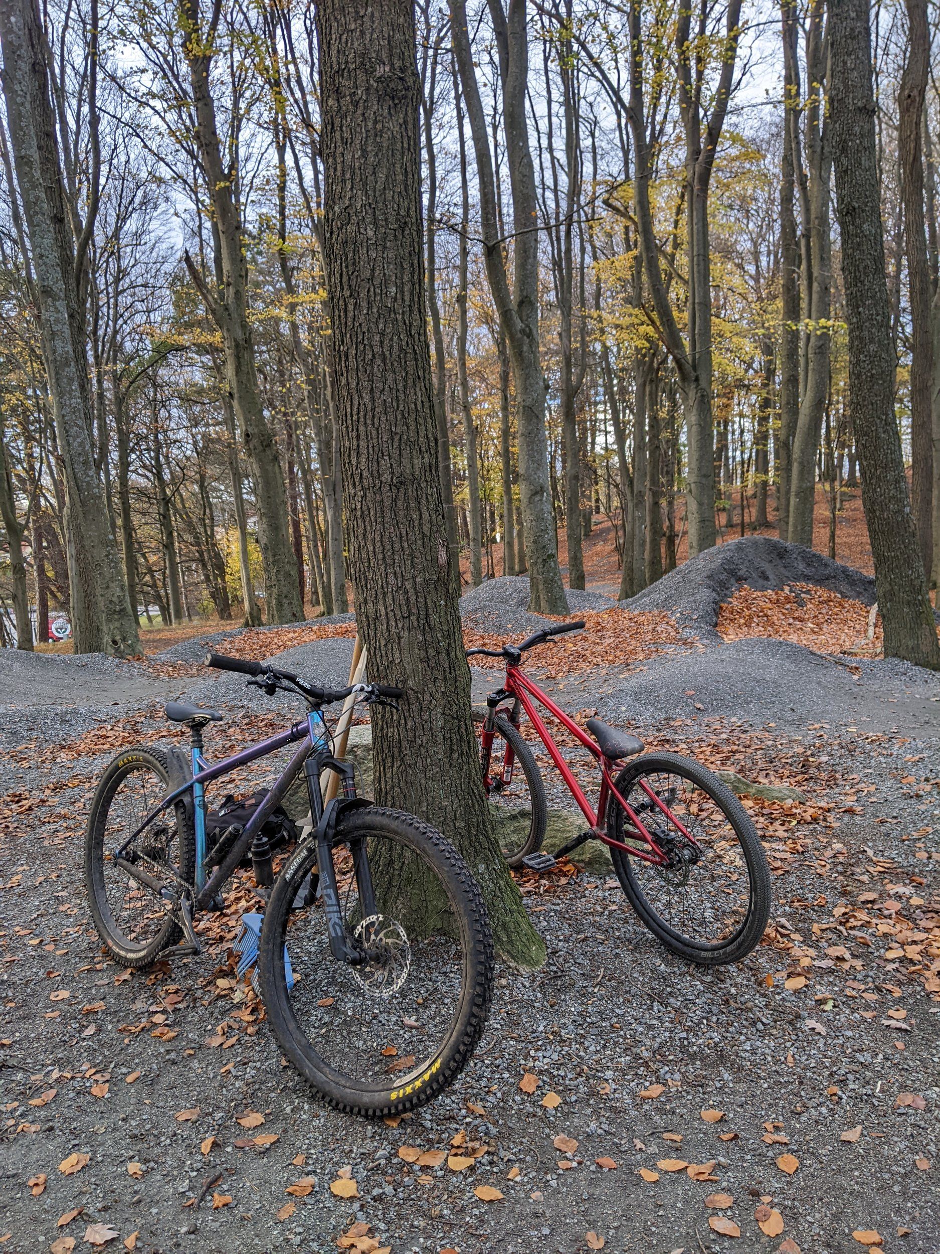 PXL_20221105_133052469.MP.jpg
