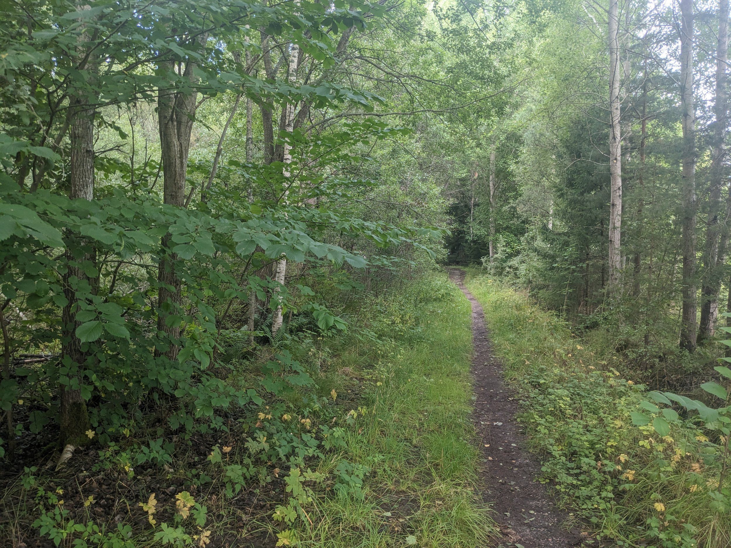 PXL_20230812_061158456.jpg