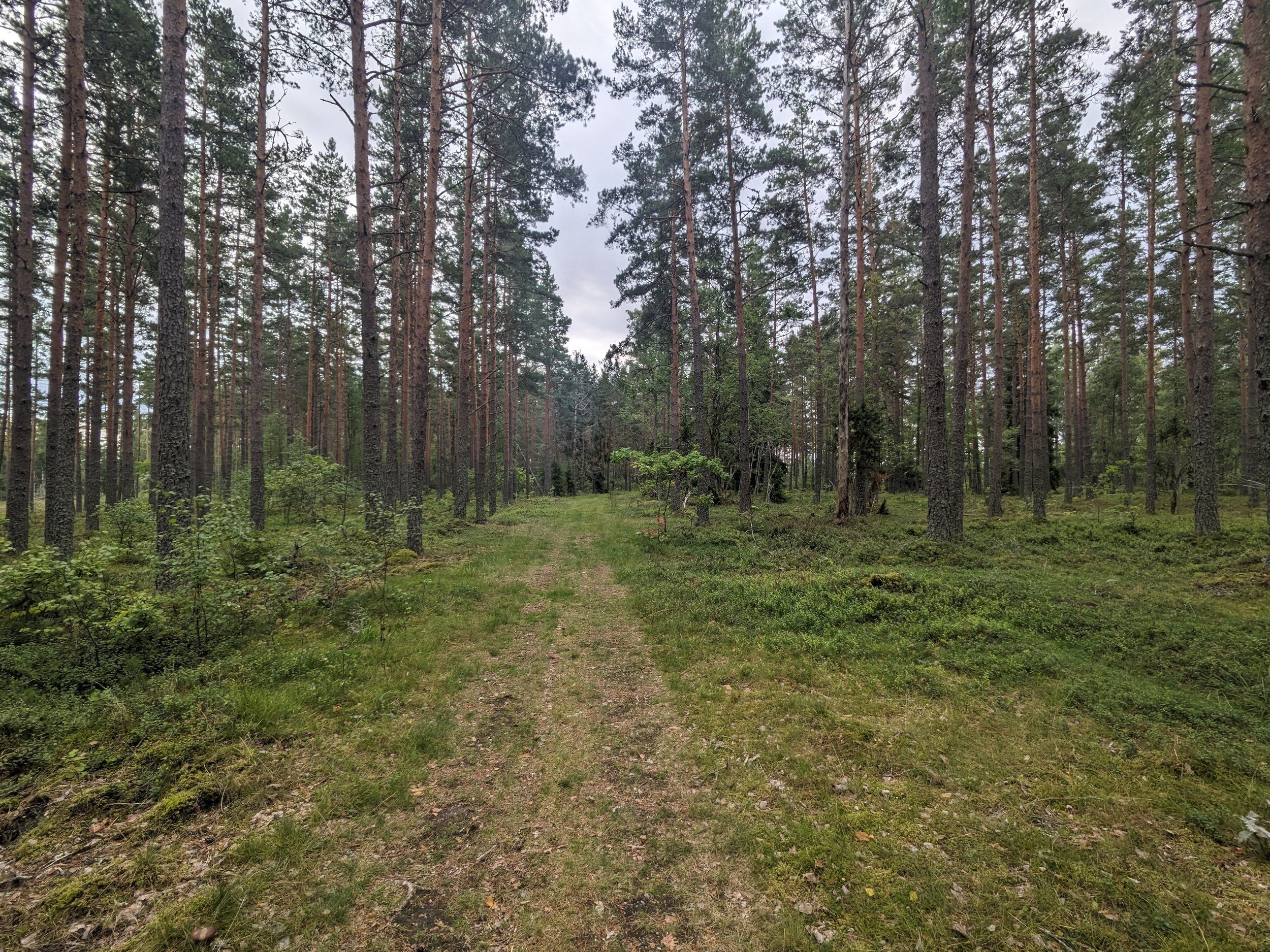 PXL_20230812_095835441.jpg