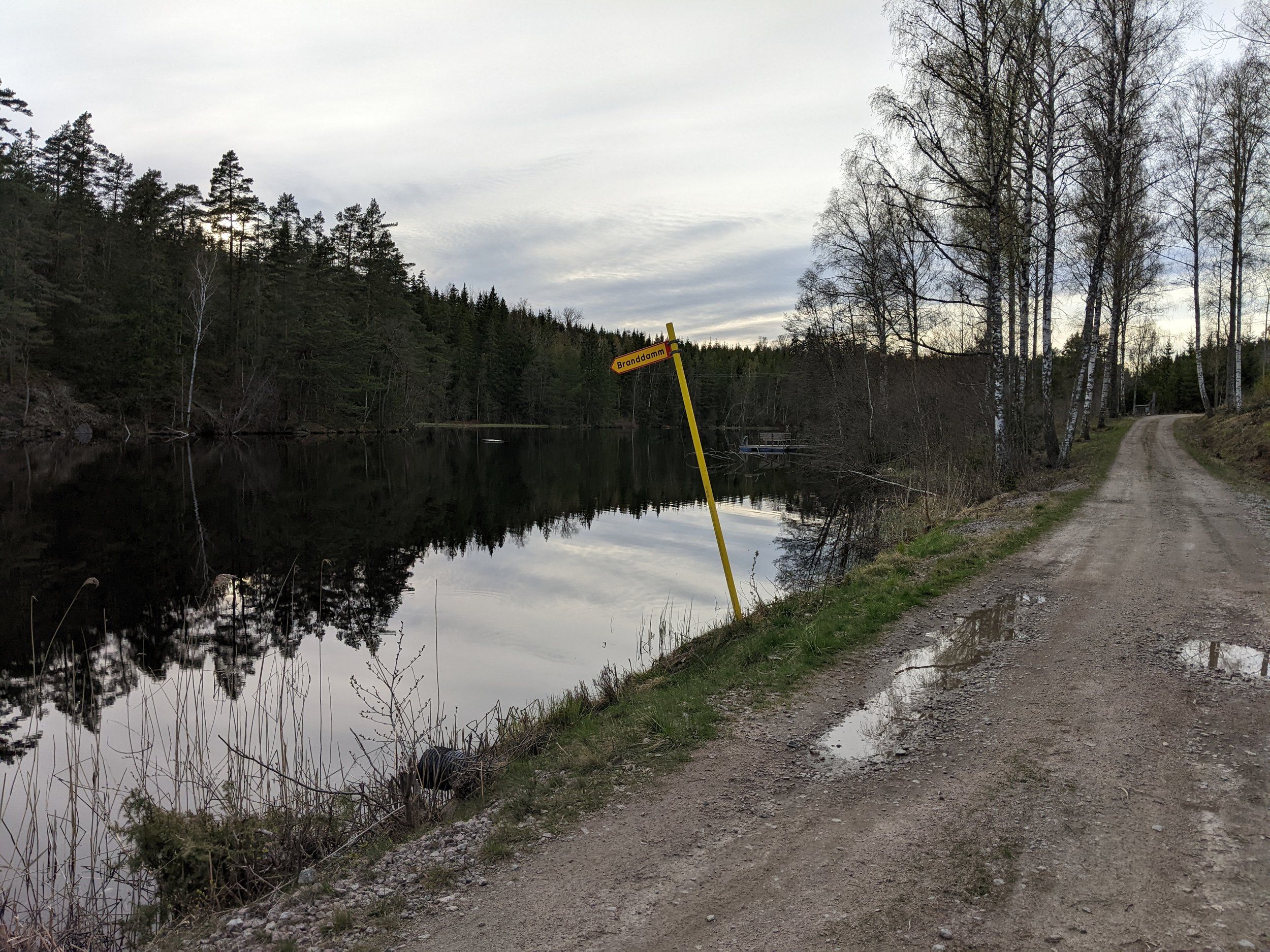 PXL_20240430_172159190.jpg