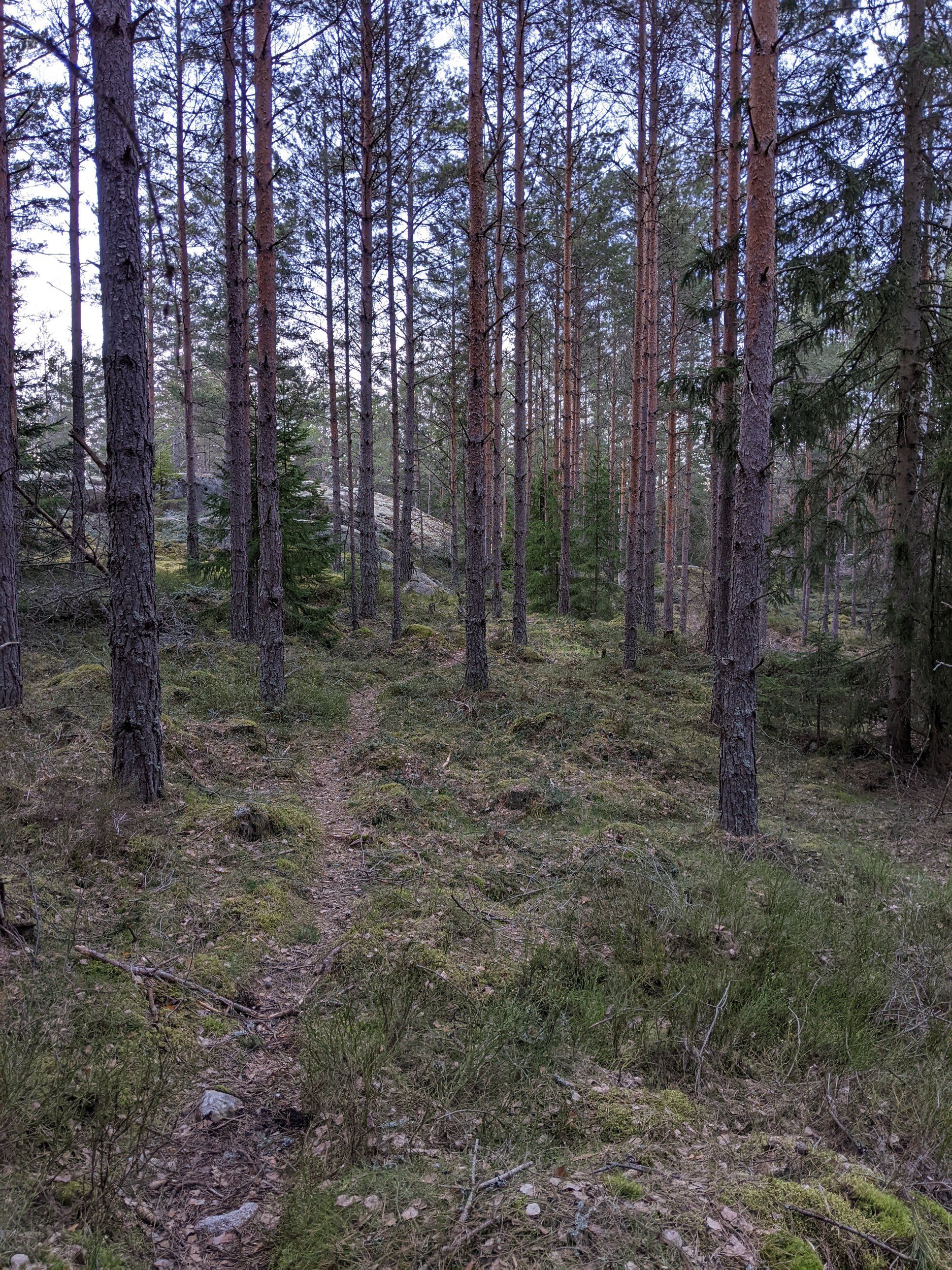 PXL_20240430_175853967.jpg