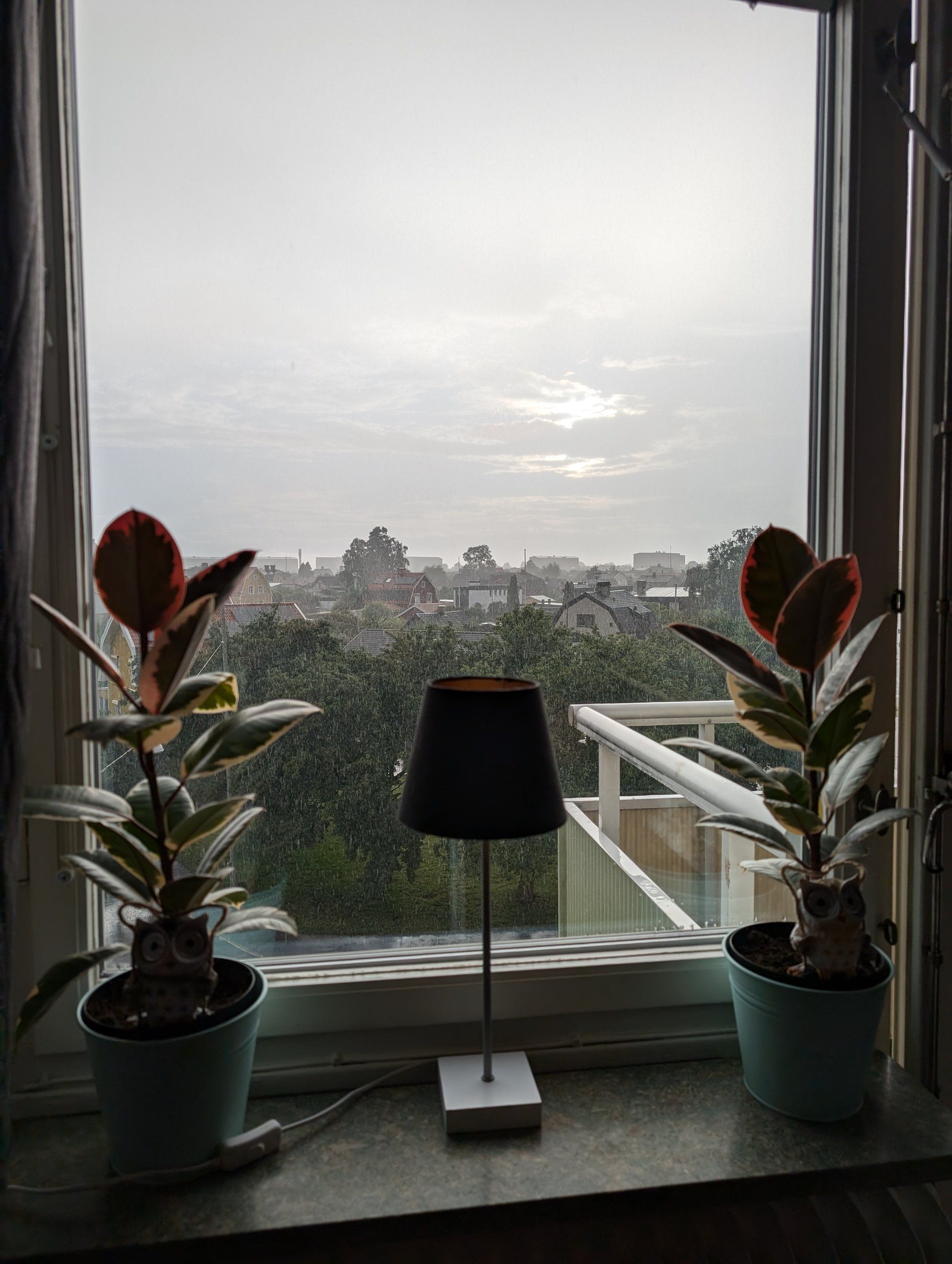 PXL_20240708_182532294.jpg