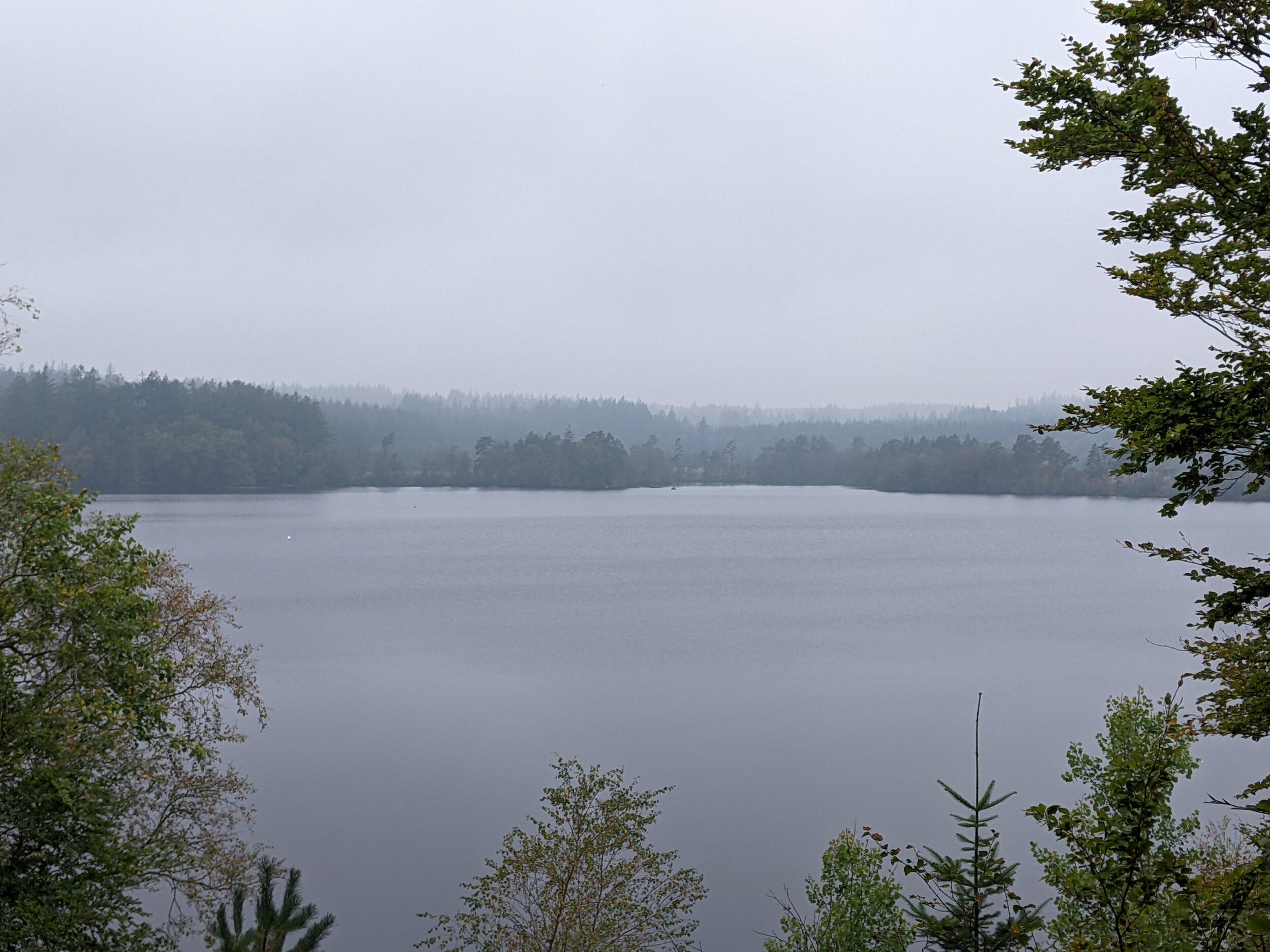 PXL_20240923_093414126.jpg