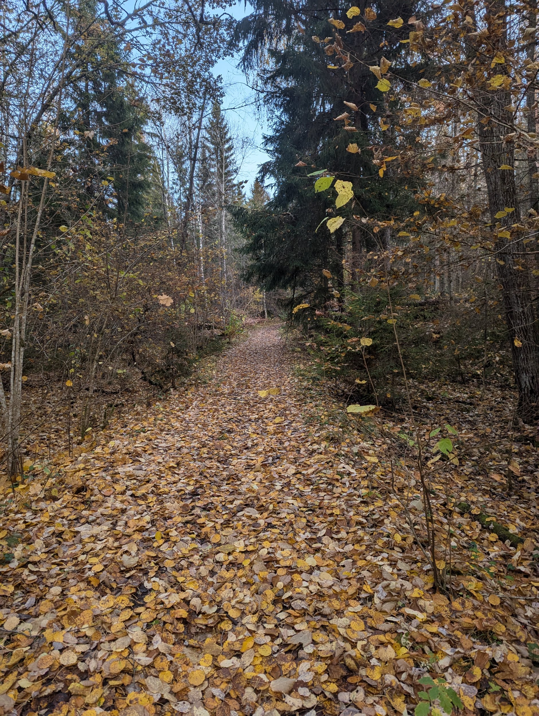 PXL_20241019_145740425.jpg