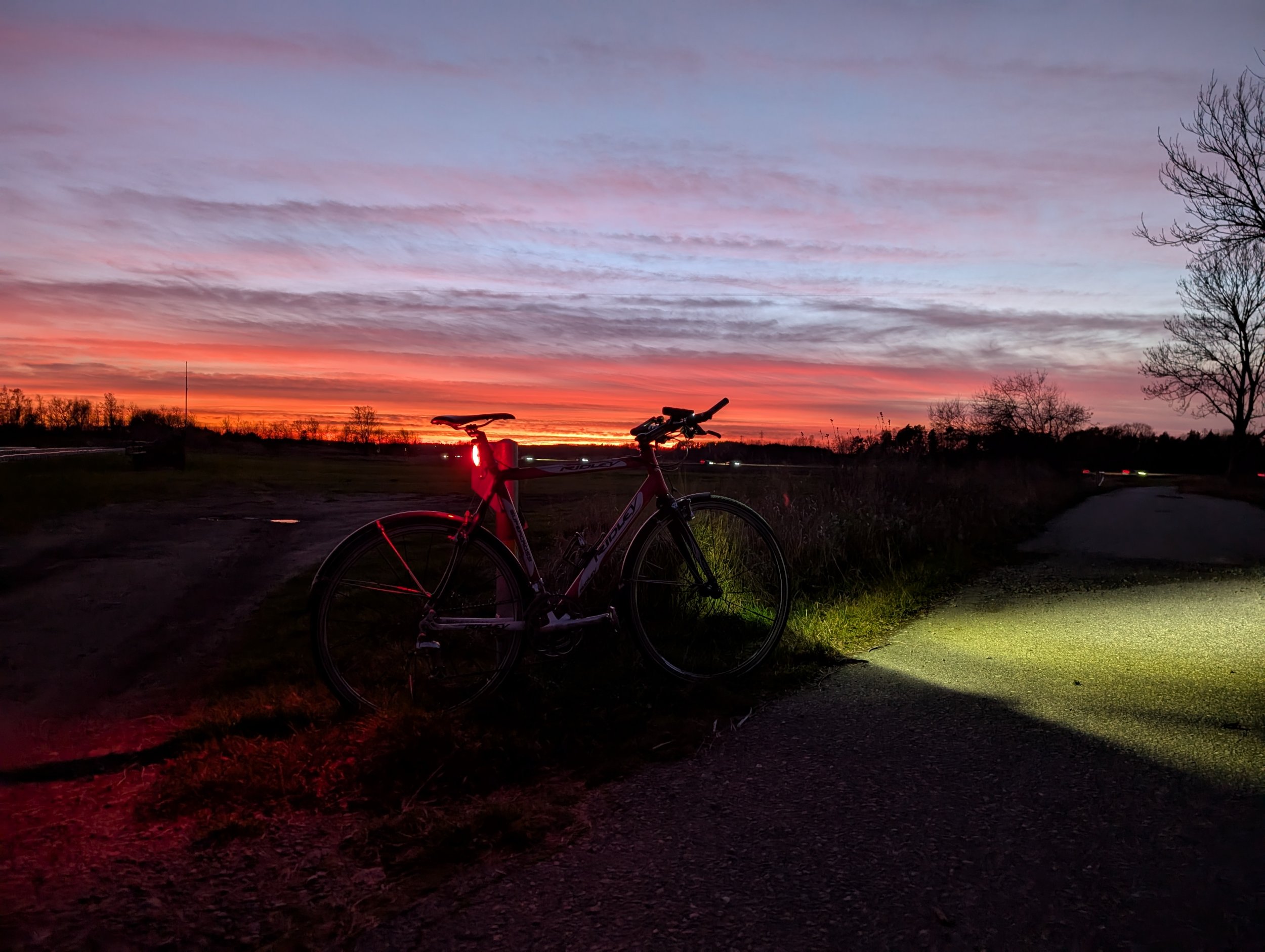 PXL_20241103_154841264.NIGHT.jpg