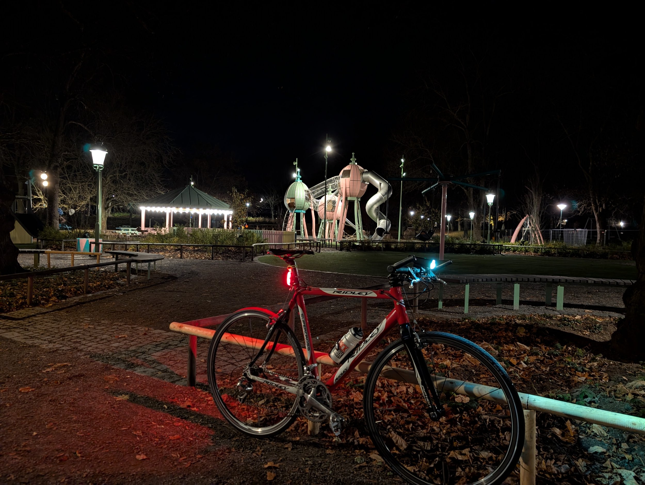 PXL_20241107_170437672.NIGHT.jpg