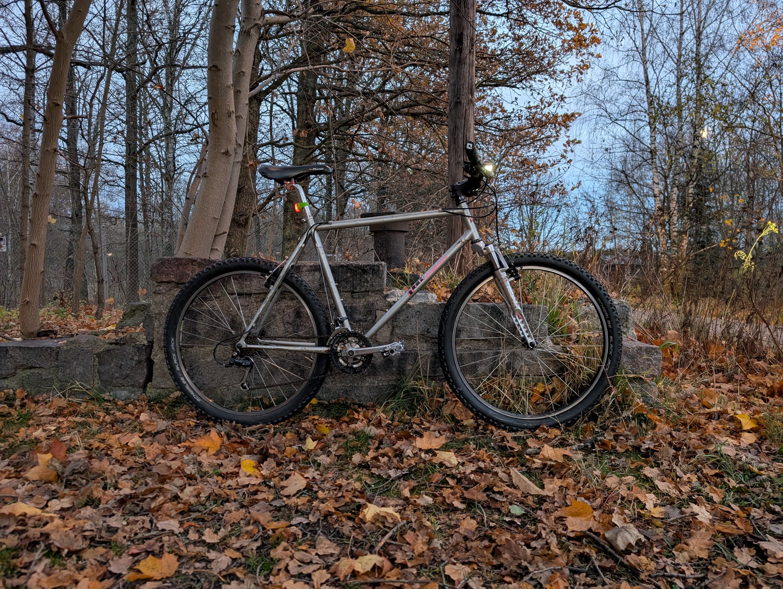 PXL_20241112_145917214.jpg
