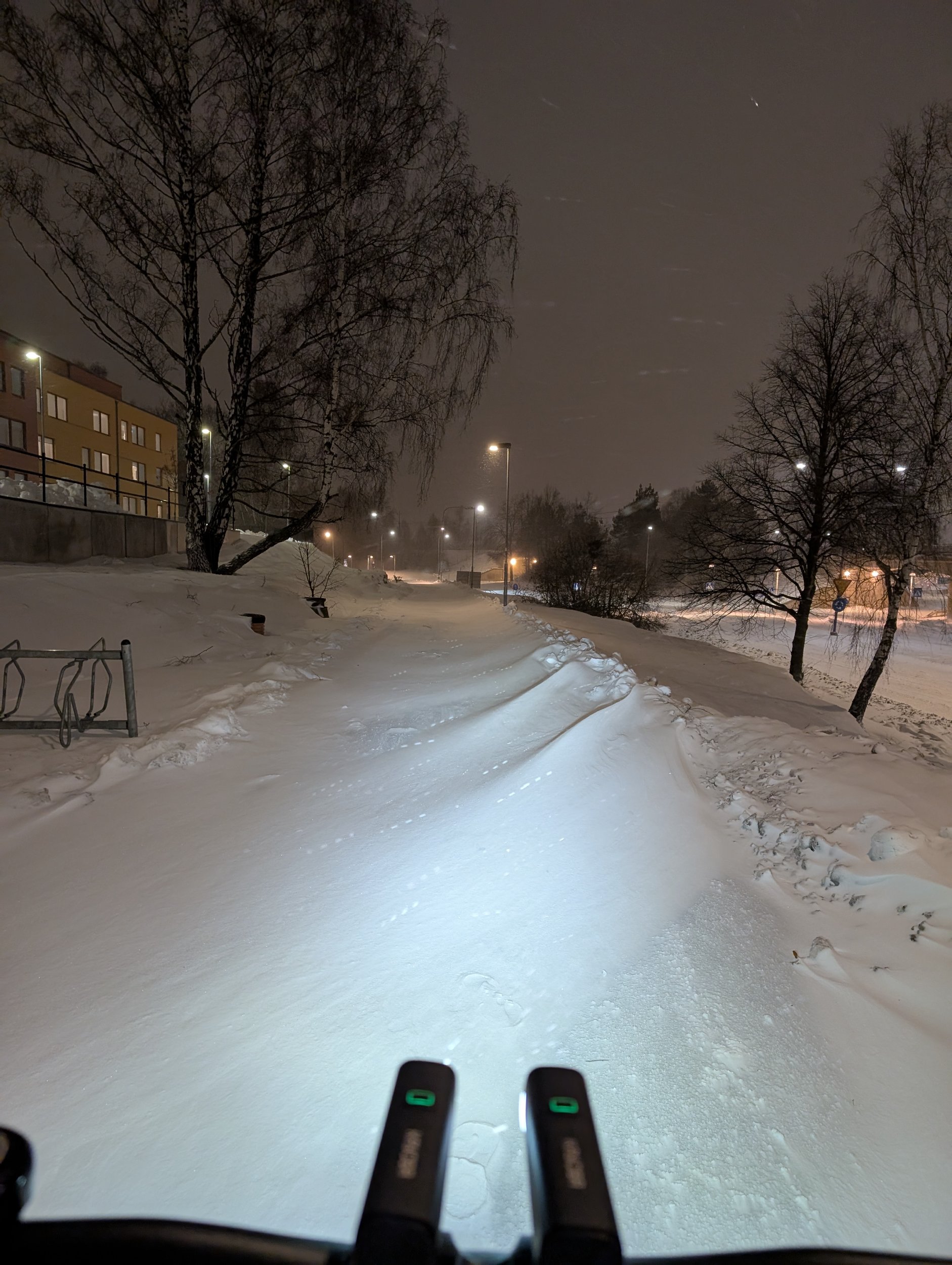 PXL_20250111_034726167.jpg