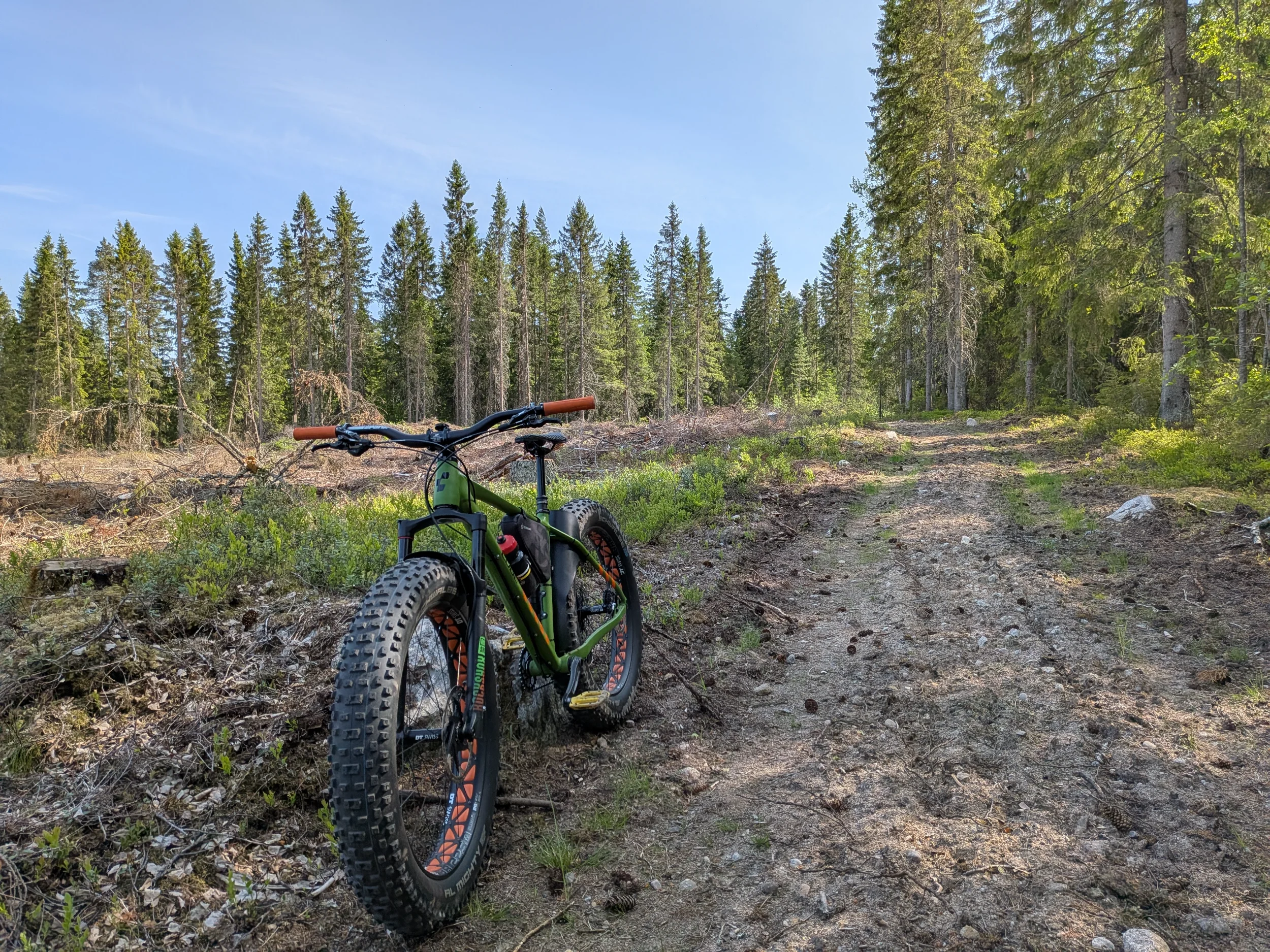 PXL_20250614_132113310.webp