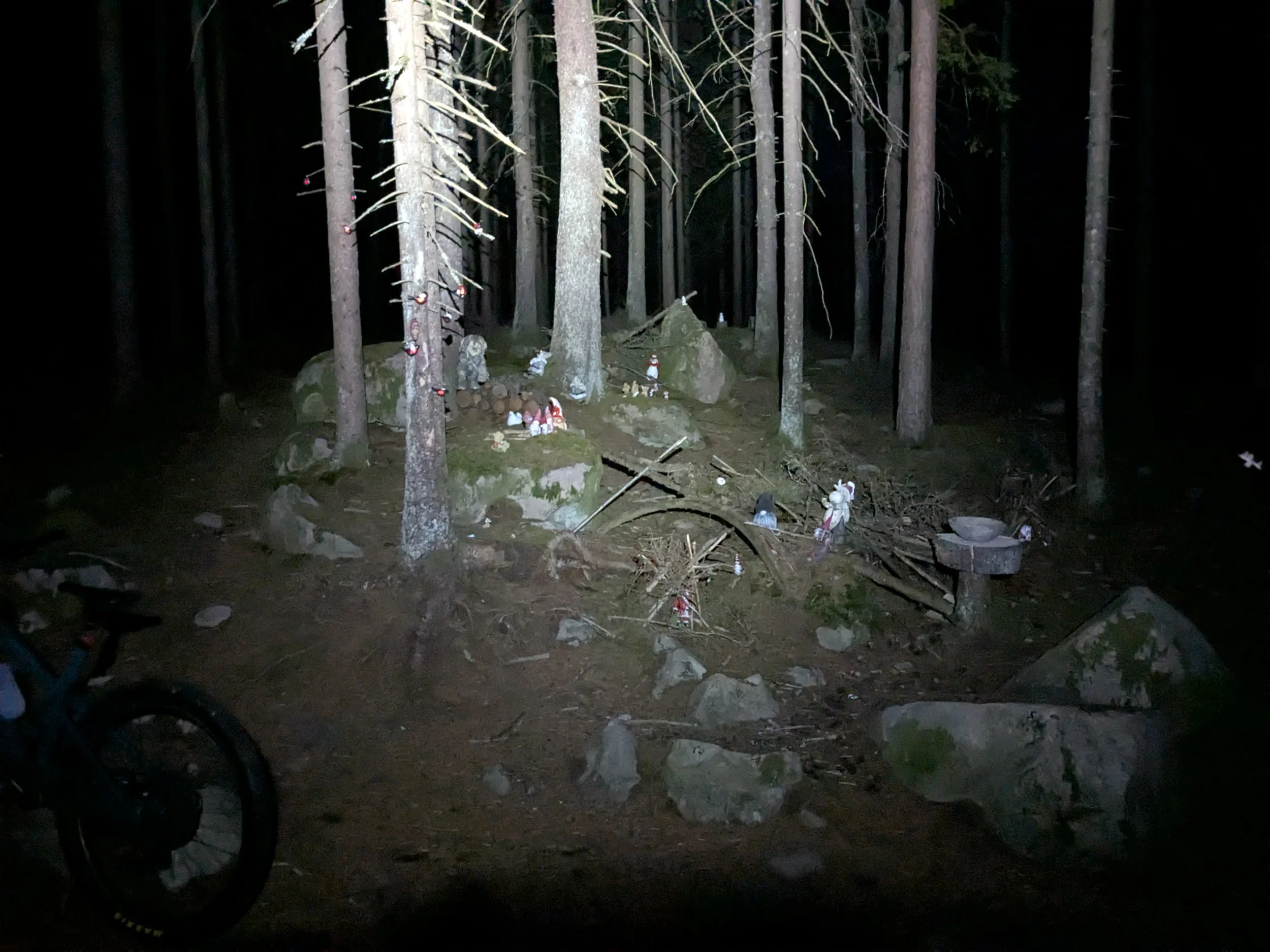 PXL_20250727_214007272.webp
