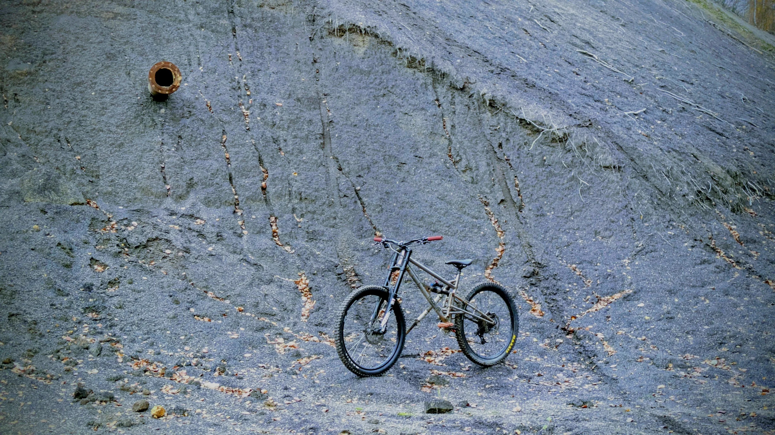 PXL_20251016_152936792.MP~2.webp