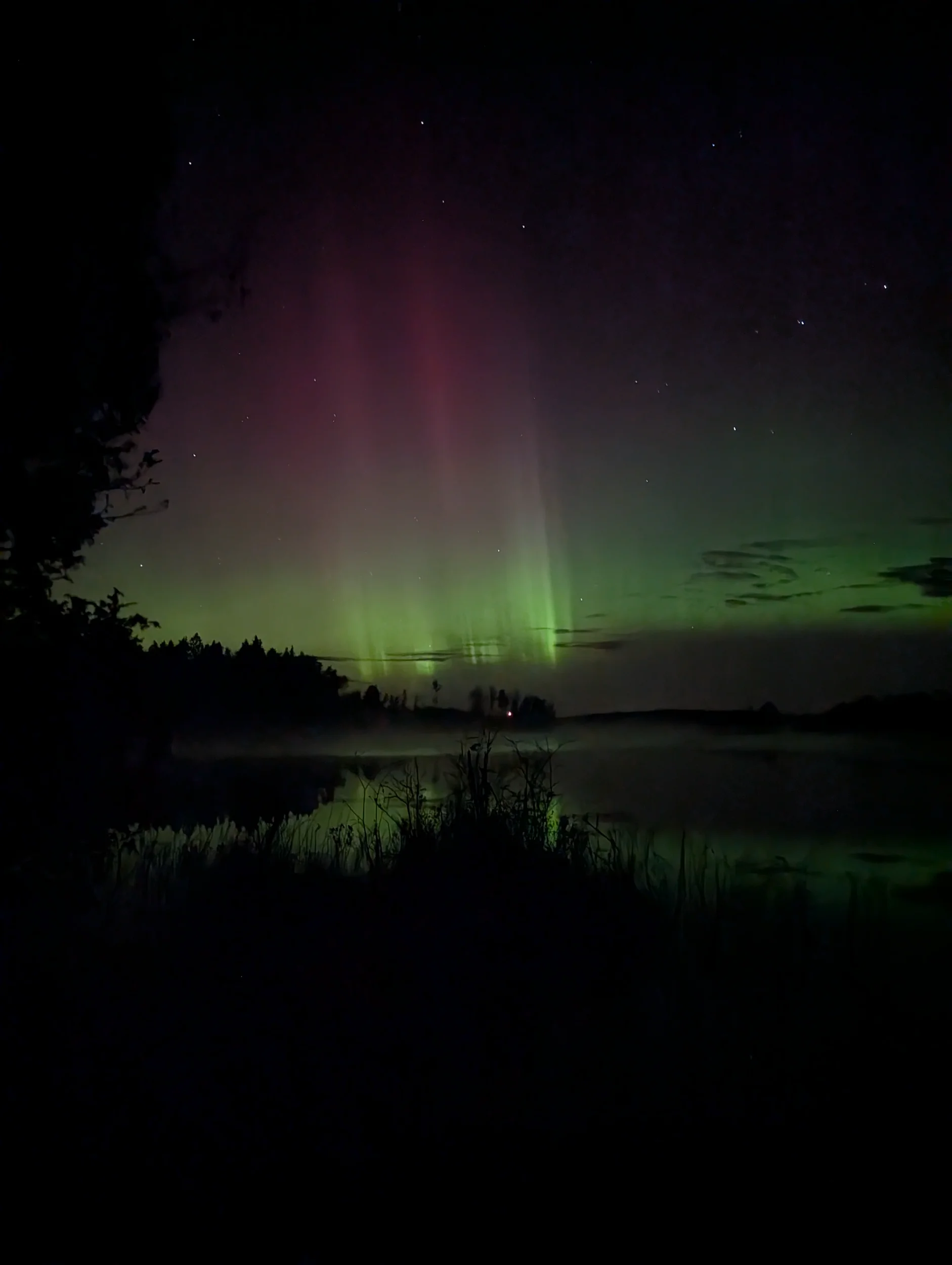PXL_20251018_222450697.NIGHT.webp